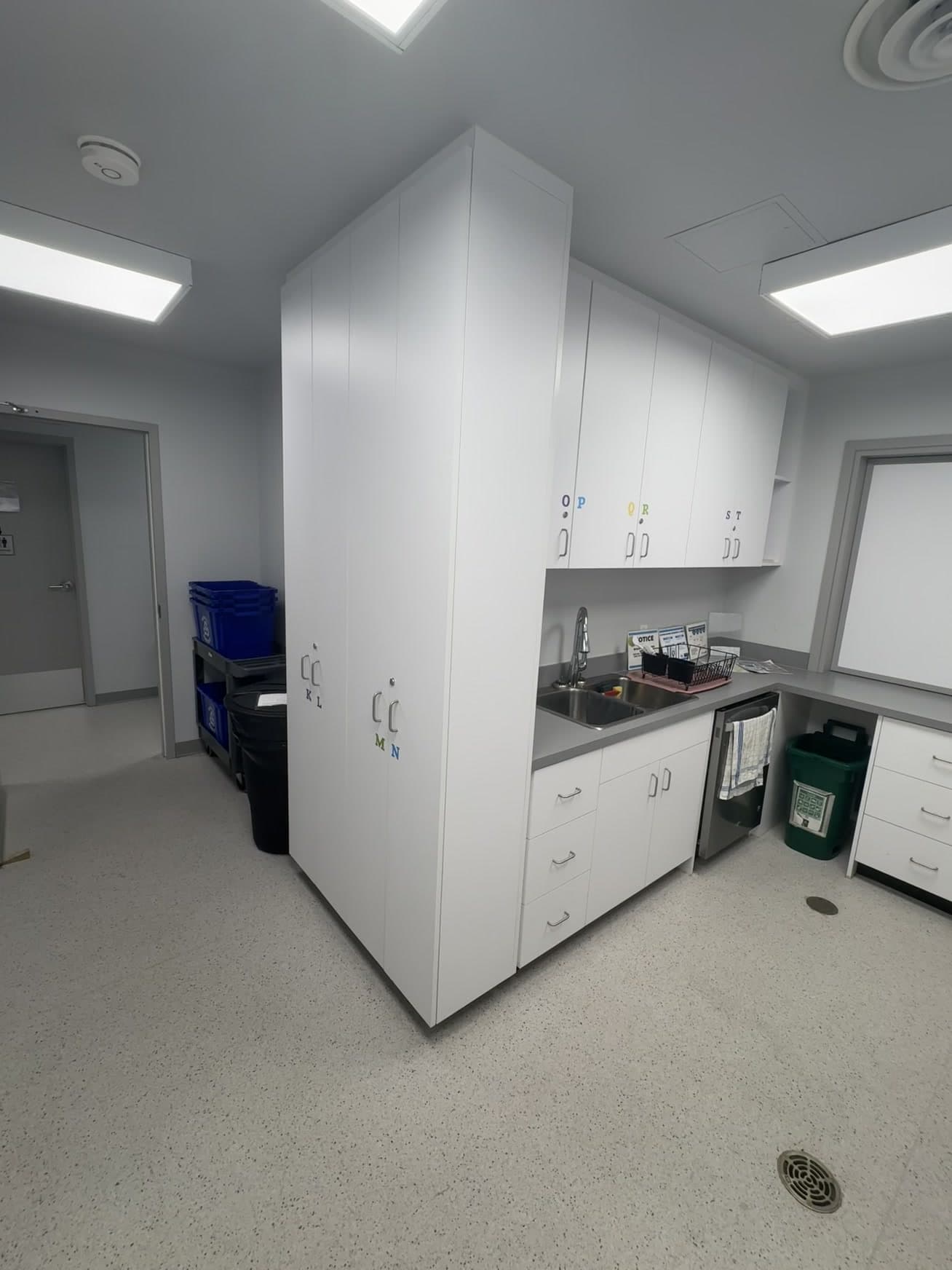 Kitchen cabinets and sink area